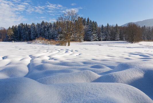 Germany, Upper Bavaria, Toelzer Land, winter landscape