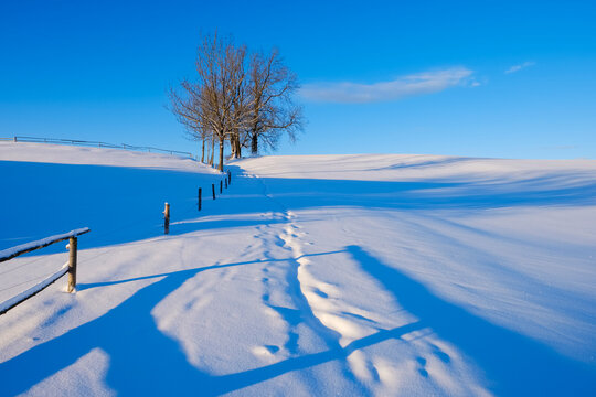 Germany, Bavaria, Upper Bavaria, Alpine foothills, Peretshofener Hoehe, snow-covered way in winter