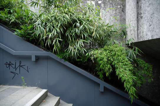 Germany, Staircase and steps