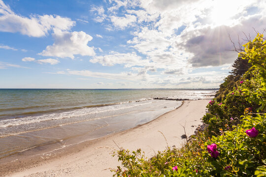 Denmark, Moen Island, Baltic Sea, View of beach against the sun