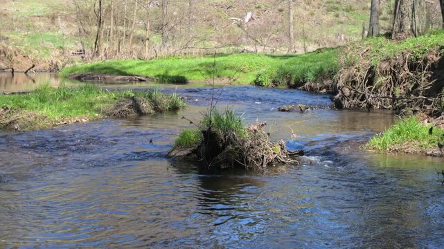 relaxing view on a flowing creek with nature sounds