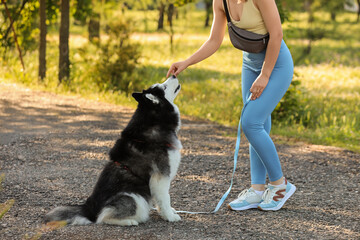 Pet training and companionship, woman training husky dog in park during outdoor exercise, active lifestyle and animal care with positive reinforcement © Pixel-Shot