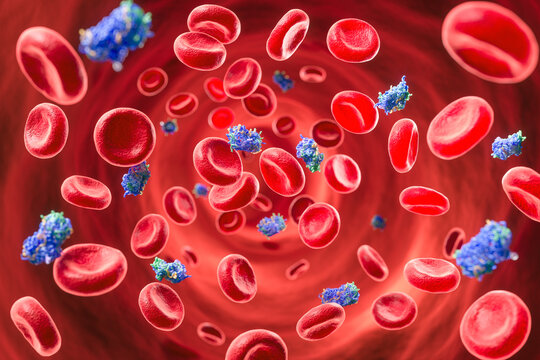 Medical 3D illustration of insulin molecules interacting with red blood cells.
