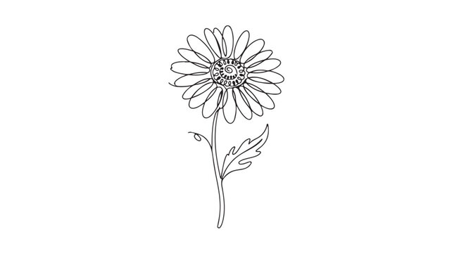Minimalist continuous line drawing of a daisy flower, elegant floral vector art, simple botanical sketch for wedding stationery