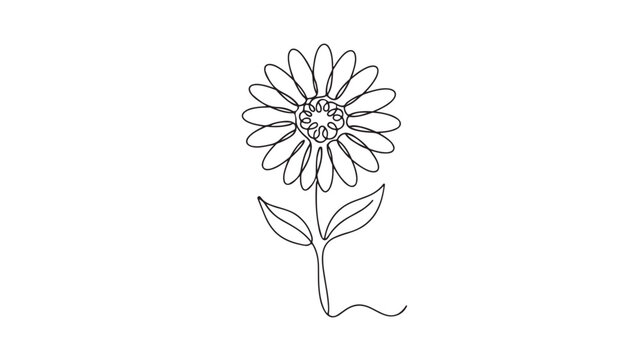 Minimalist continuous line drawing of a blooming flower, elegant floral outline vector, simple botanical daisy illustration for modern logo design