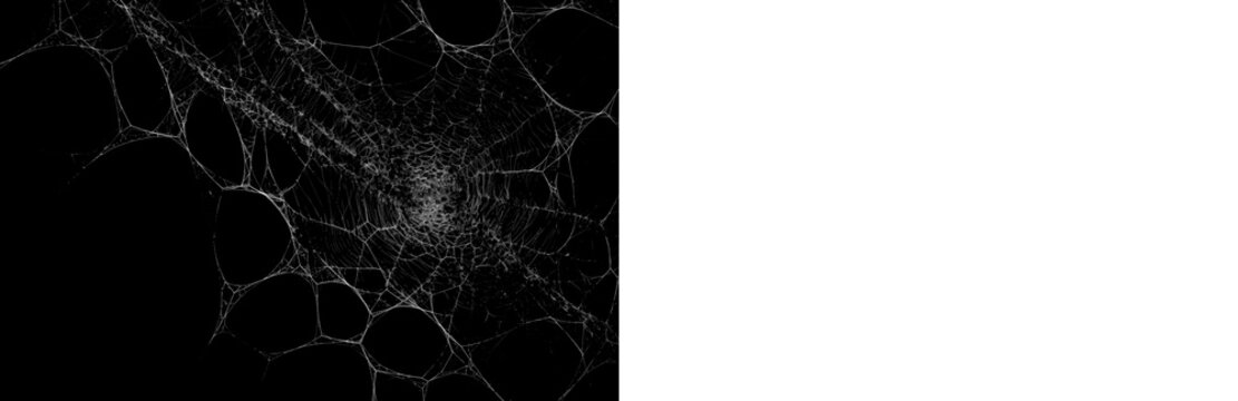 Abandoned cobweb shown on black preview and transparent version, ideal for haunted scenes, creepy graphics and horror compositions.