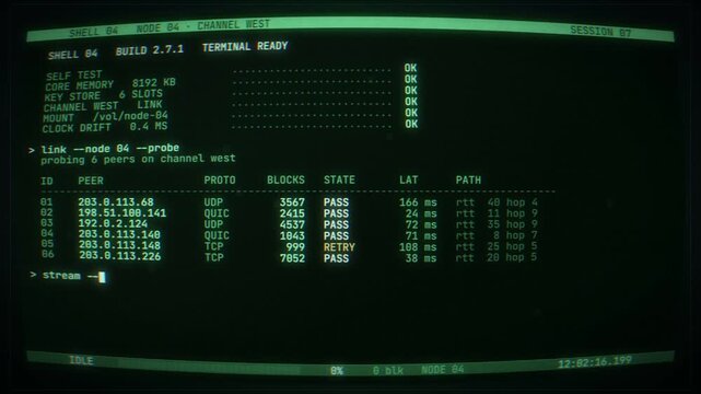 Retro CRT terminal running data verification with green phosphor text and scrolling hex dump