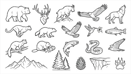 Obraz premium Detailed Outline North American Wilderness and Mountain Animals Set.