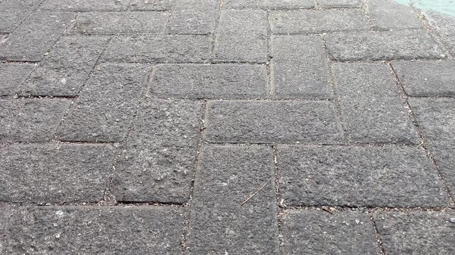 Grey Concrete Paving Blocks Texture for Landscape Design
