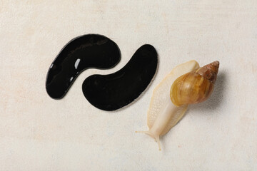 Giant Achatina snail and black under-eye patches on white grunge background, closeup © Pixel-Shot