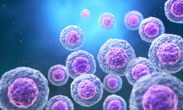 human cell structures under a microscopic view. Scientific visualization of cellular biology, biotechnology research, and medical science background, 3D illustration.