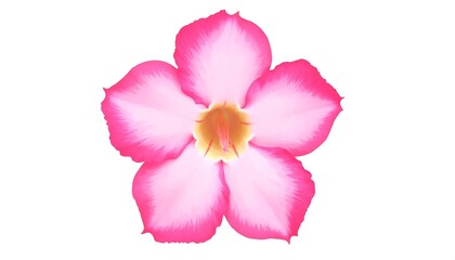 Naklejka premium Pink peony flower with yellow center close up.