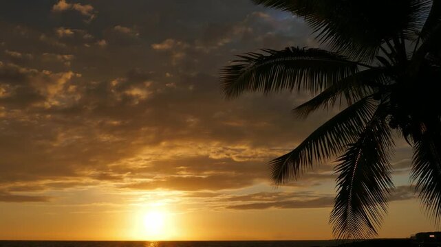 Golden Hawaiian sunset over Kahului Bay and the Pacific Ocean through an iconic idyllic palm tree silhouette and warm clouds as seen from Kona, on the big island of Hawaii. Spring, April, 2023.