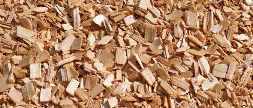 Close range pile of wood chips under soft daylight