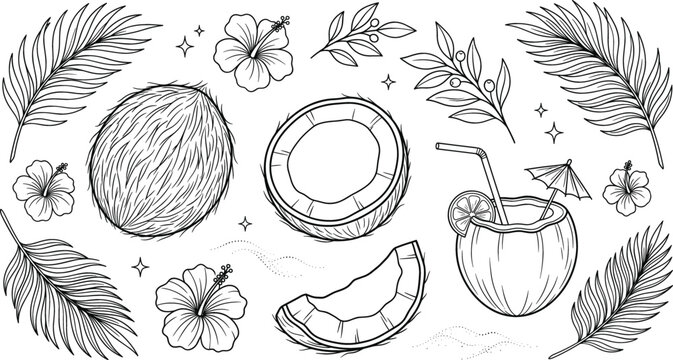 Tropical coconut vector line art set with palm leaves hibiscus flowers cocktail drink and exotic summer elements
