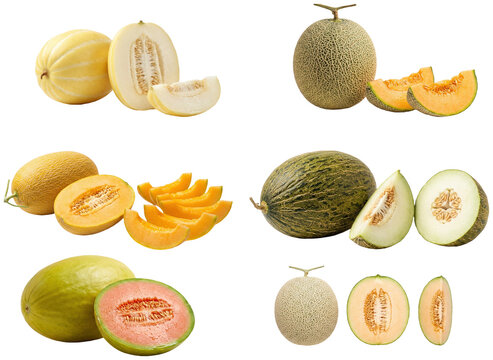 A colorful collection of assorted melon varieties shown whole and cut open with fresh, ripe flesh.