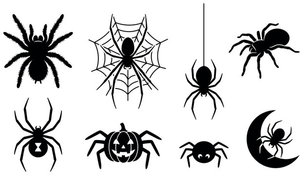 Spooky Halloween spider silhouette vector set with black widow and tarantula.