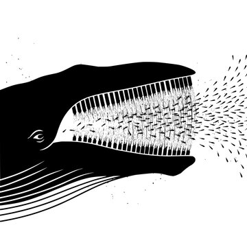 Whale filtering plankton through baleen plates is depicted in a minimalist black and white vector style.