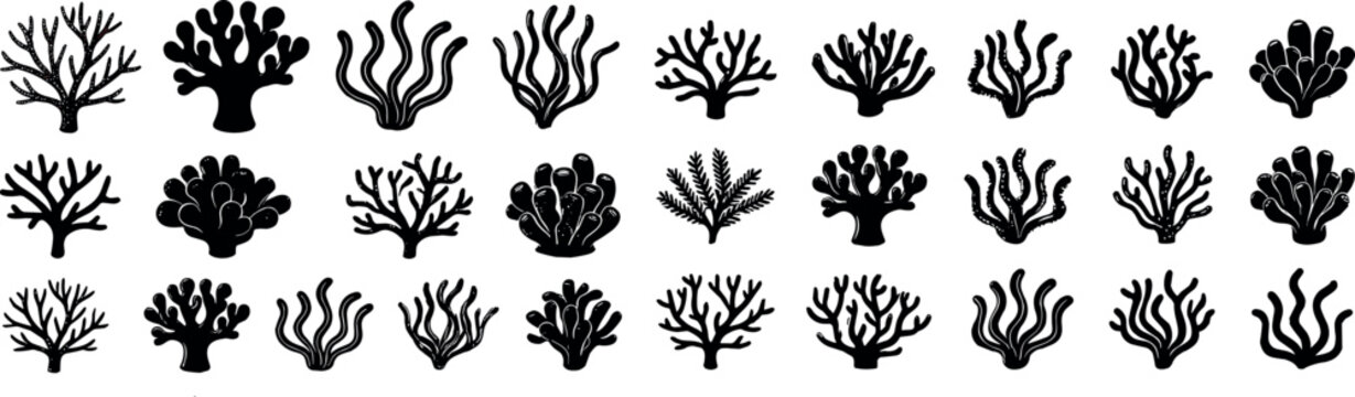 Underwater Coral Reef and Seaweed Silhouette Vector Icons Set for Marine Life and Ocean Designs