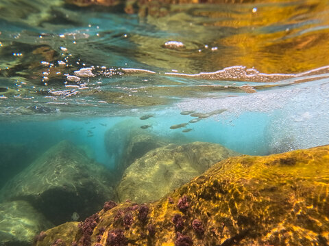 Stunning over-under split shot showcasing the crystal clear turquoise waters and golden rocky seabed of the Mediterranean Sea with small fish swimming near the surface.