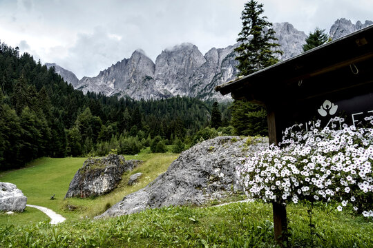 Panorama delle Dolomiti Bellunesi,Dolomiti, Belluno, Veneto,Italia