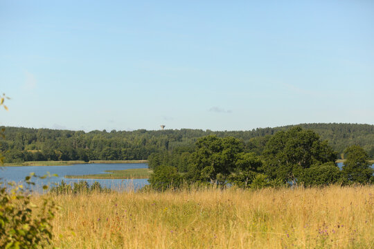 Serene landscape featuring a calm lake reflecting a dramatic sky, surrounded by dense forest. A tranquil scene showcasing untouched nature, perfect for themes of peace, environmental beauty, and outdo