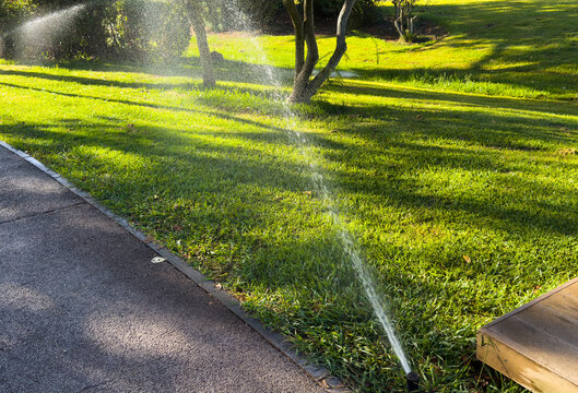 garden sprinkler on the green lawn 