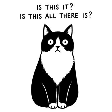 Tuxedo Cat Sitting with Questioning Expression and Text Is This It
