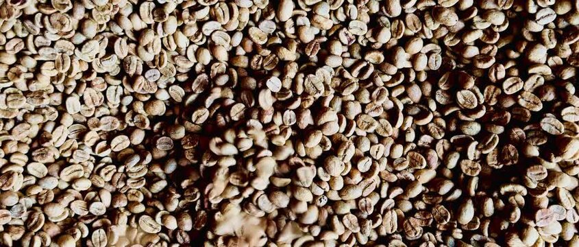Raw green coffee beans falling into a large pile in a close-up top view during processing. Ideal for agriculture, coffee production, specialty coffee, and beverage industry concepts.