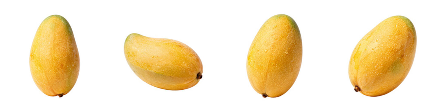 Fresh alphonso mangoes arranged on a plain black surface in a studio shot