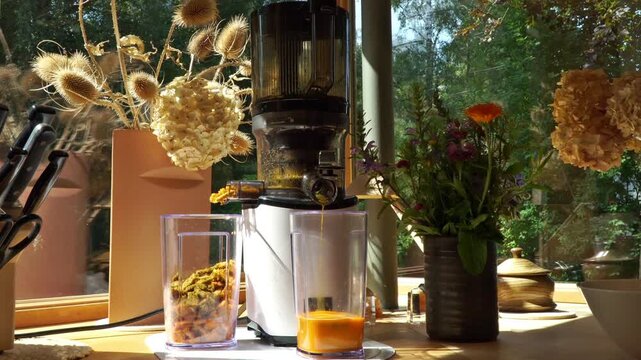 Frischen Gem&uuml;sesaft mit Kr&auml;uter pressen - Elektrische Saftpresse