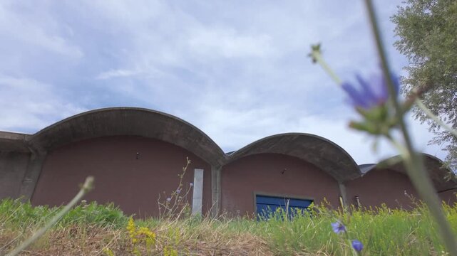 Cinematic Reveal of an Industrial Building with Arched Roof from a Low Angle Through Wildflowers