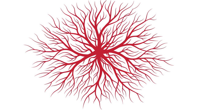 Red biological vector illustration showing complex branching capillary network or organic root system design artistic element