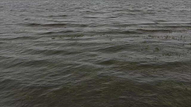 Aerial Cinematic Disaster Landscape Background with Dark Ocean Water, Choppy Wave, Submerged Aquatic Vegetation, Moody Sea Environment, Coastal Disturbance, and Atmospheric Depth
