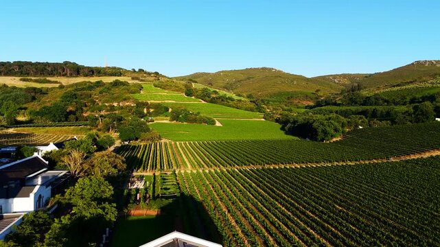 A cinematic drone view of Laborie Estate in Paarl, showcasing the historic wine farm, surrounding vineyards, and dramatic Paarl Mountain landscape.