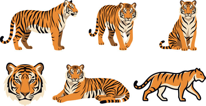 Bengal Tiger Wildlife Vector Asset Sheet Featuring Multi Pose Big Cats Stalking, Sitting Alert, Lying Down, and Mascot Head Portrait
