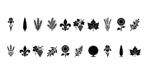 Fototapeta premium French Botanical Plants and Garden Foliage Silhouette Collection