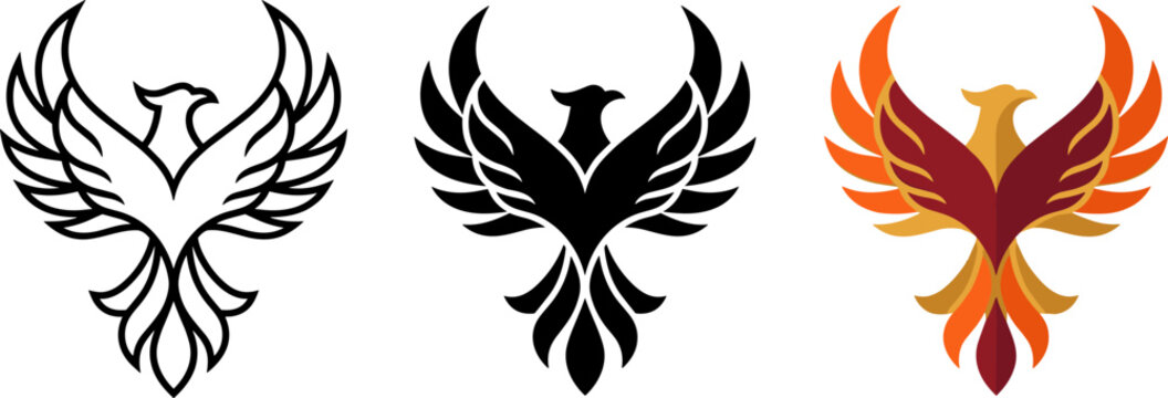 Set of three phoenix bird logos in different styles, including outline, solid black silhouette, and vibrant colored vector illustration