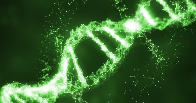 Digital biology DNA double helix animation with connected nodes. Science and Medical Concept.