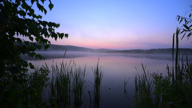 Misty lake at dawn with reeds and pastel sky