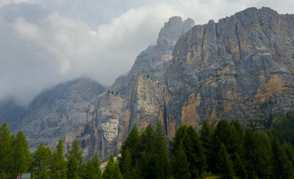 towering rocky mountain peaks covered in coniferous forest, majestic and serene landscape art for nature photography and travel adventure, ground-level perspective looking up at mountains.