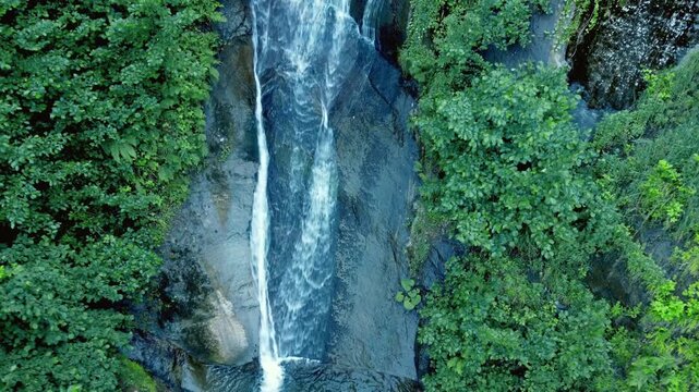 The powerful Kevin Falls descends from a rocky cliff, surrounded by bright green trees and dense vegetation of a remote mountain forest, creating a calm and wild natural landscape