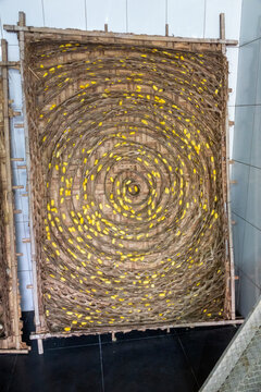 Bamboo frame filled with yellow silkworm cocoons in a silk factory, Dhaka Division, Dhaka, Bangladesh