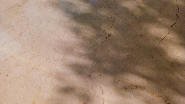 Soft palm tree leaf shadow projected on smooth beige marble floor tile surface.