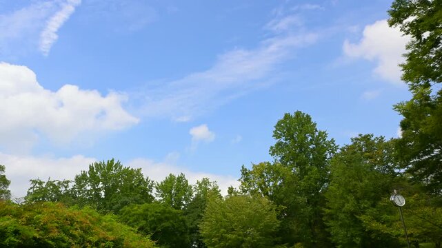新緑の木々と青空の雲