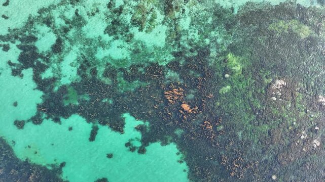 survol du port et des plages de Douarnenez en Bretagne