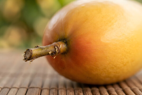 &bull;	Stem end and skin texture of a fresh green and yellow mango