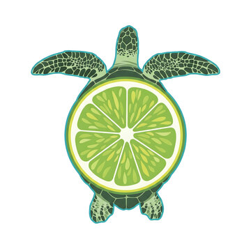 Creative sea turtle with fresh lime slice shell illustration, tropical green citrus animal concept isolated on white background