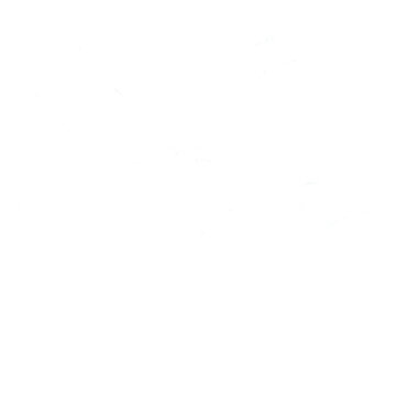 A minimalist clean white mugshot background wall template