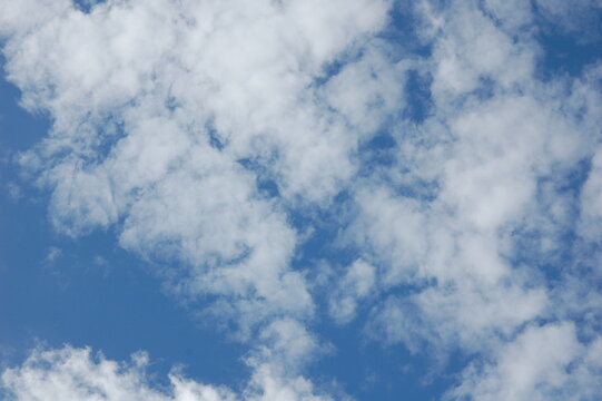 空全体に広がるたくさんの白い雲